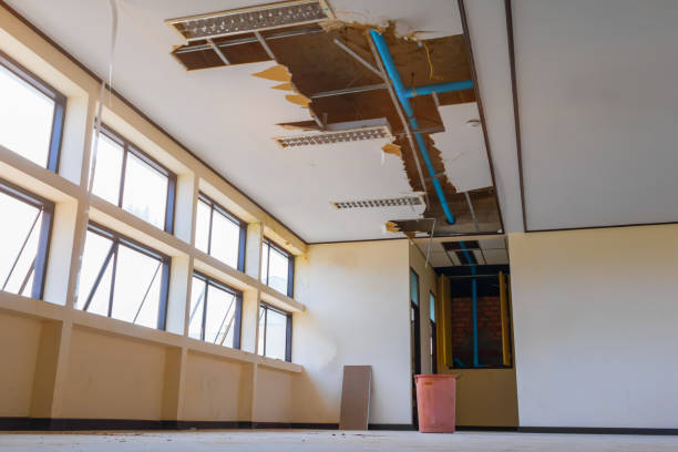 Best Carpet water damage restoration  in Llano, TX