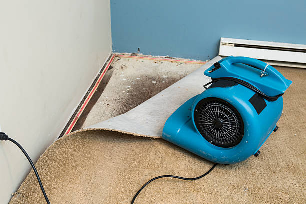 Best 24/7 water damage repair  in Llano, TX